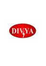 DIVYA INFOTECH CORP