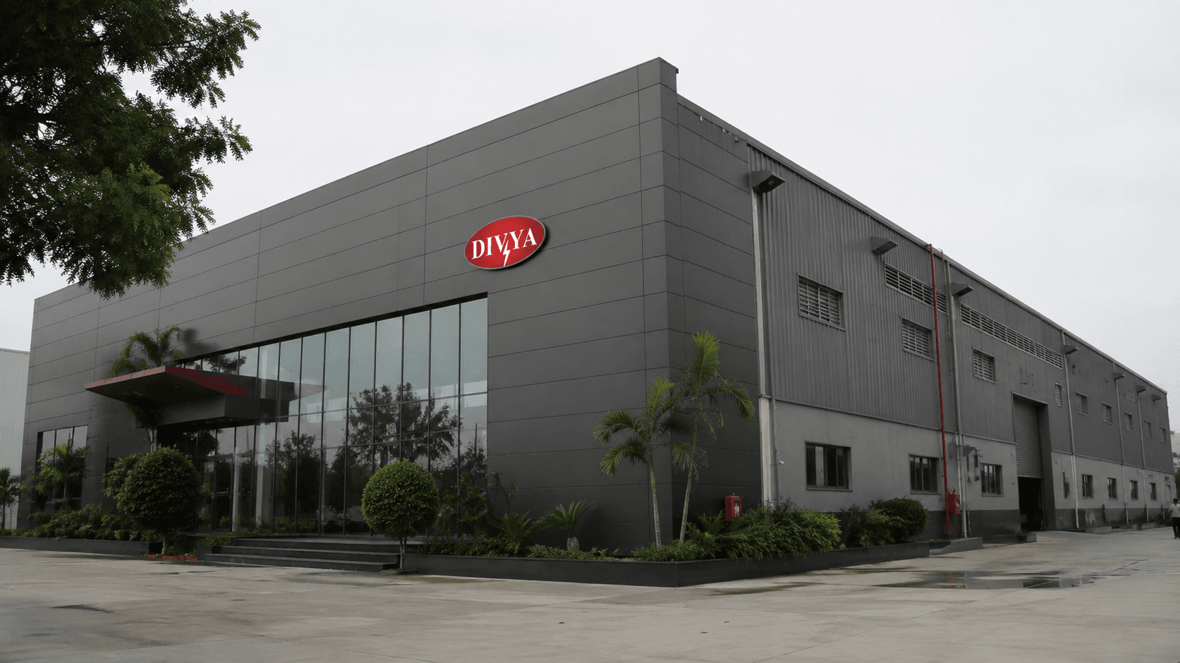 Our company